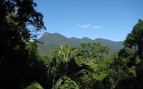 Mossman Gorge Bed&Breakfast